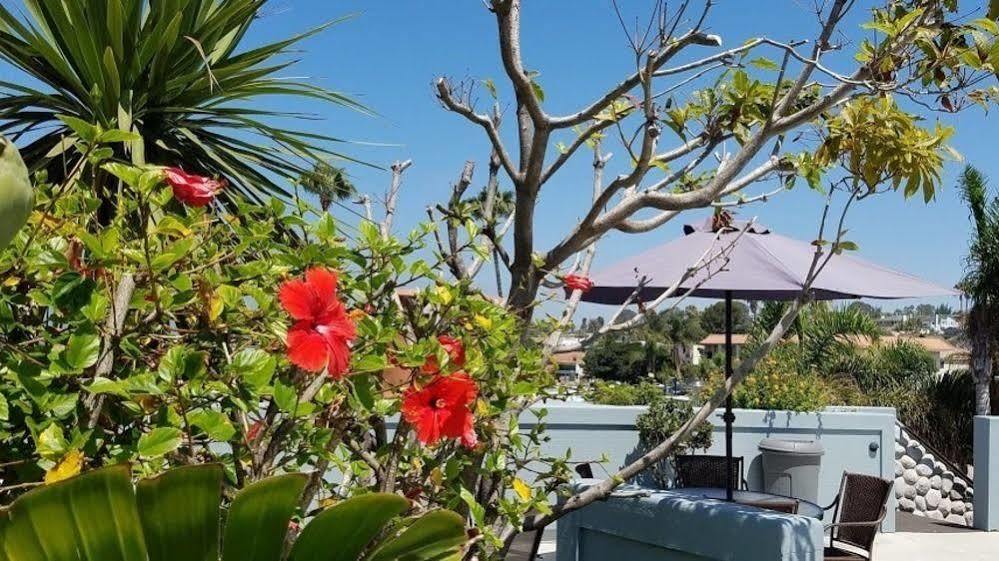 Cardiff By The Sea Lodge Encinitas Kültér fotó