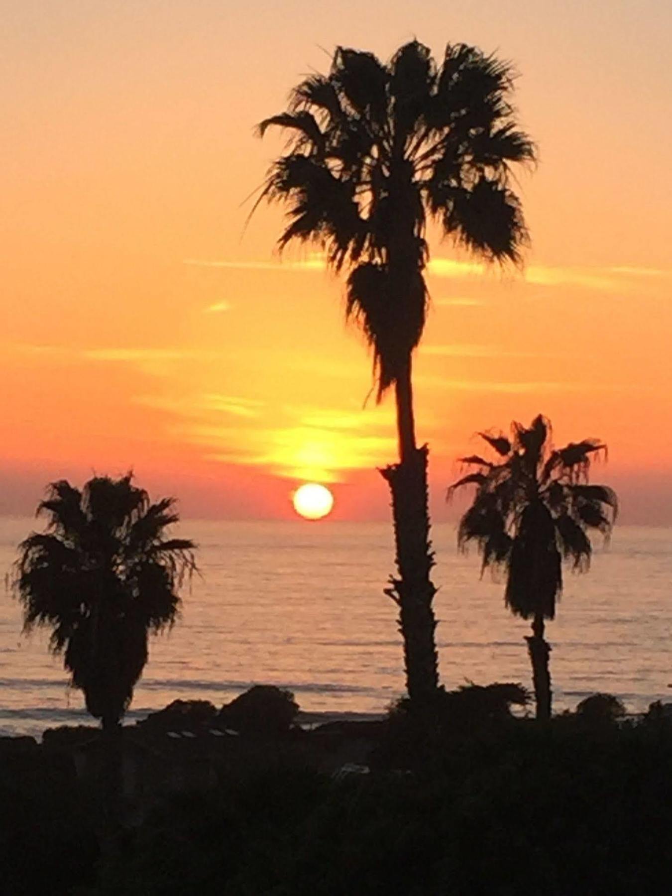 Cardiff By The Sea Lodge Encinitas Kültér fotó